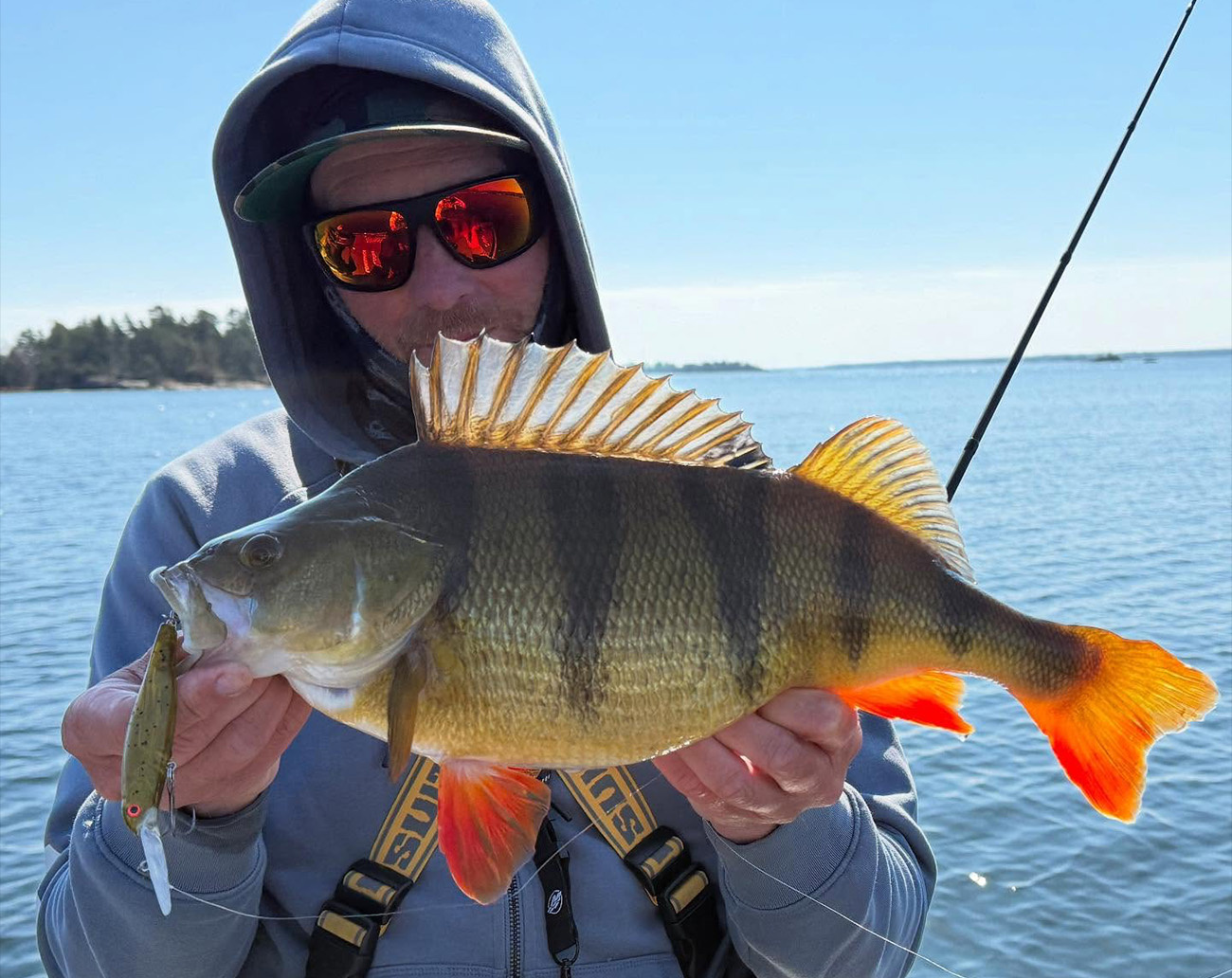 RenzStein Beastly Diver 9 cm